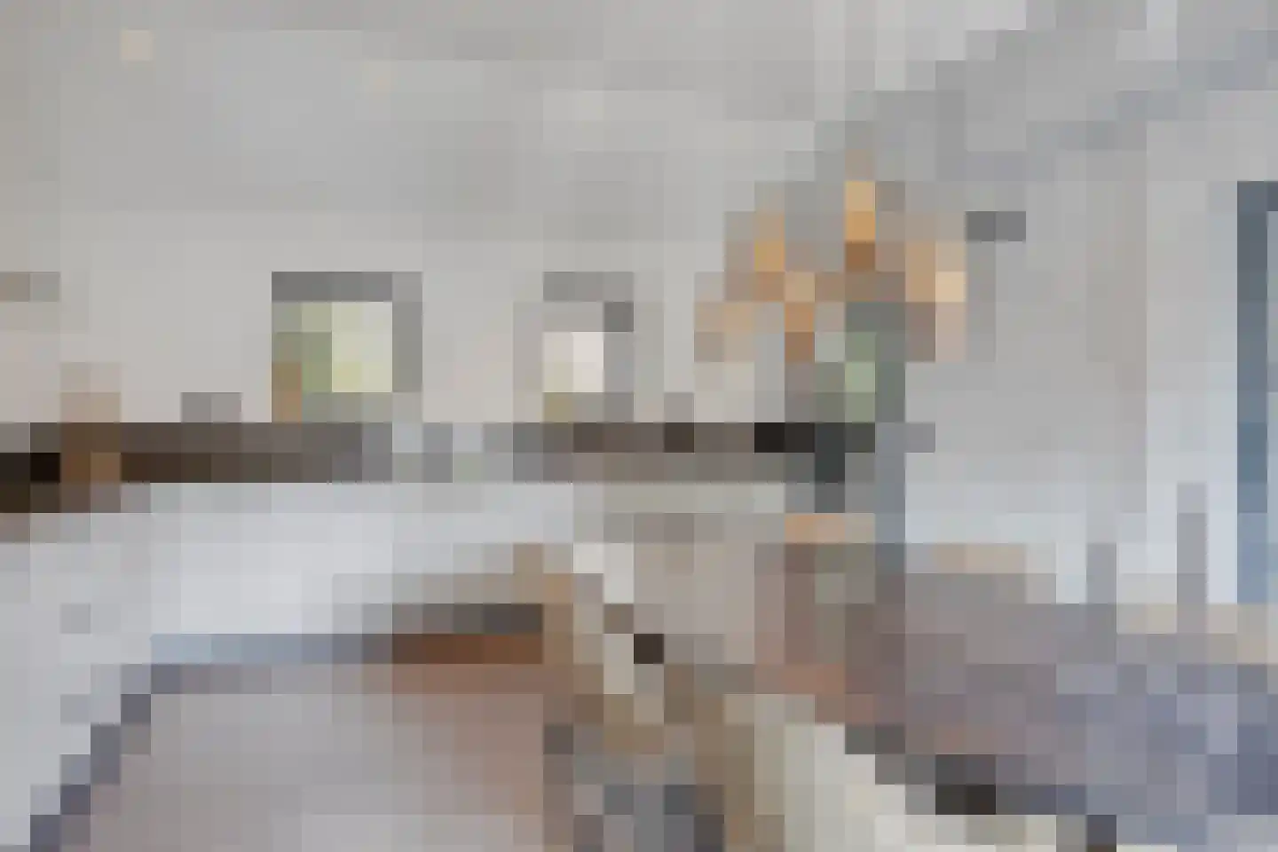 Spoorbaanweg 39 Rhenen thumbnail 17