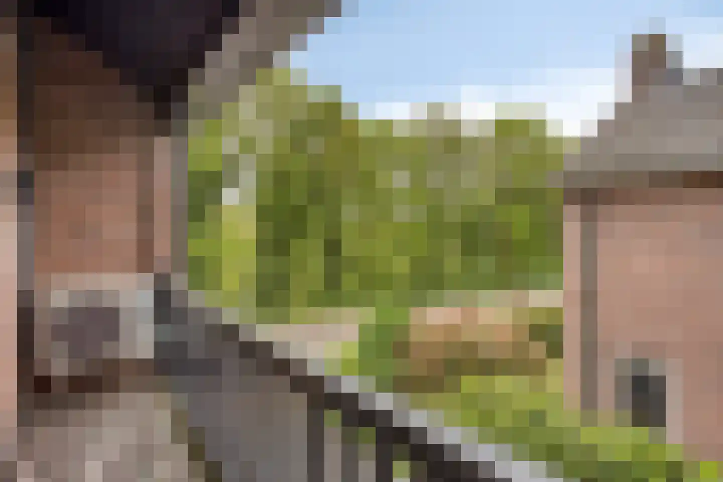 Spoorbaanweg 39 Rhenen thumbnail 39