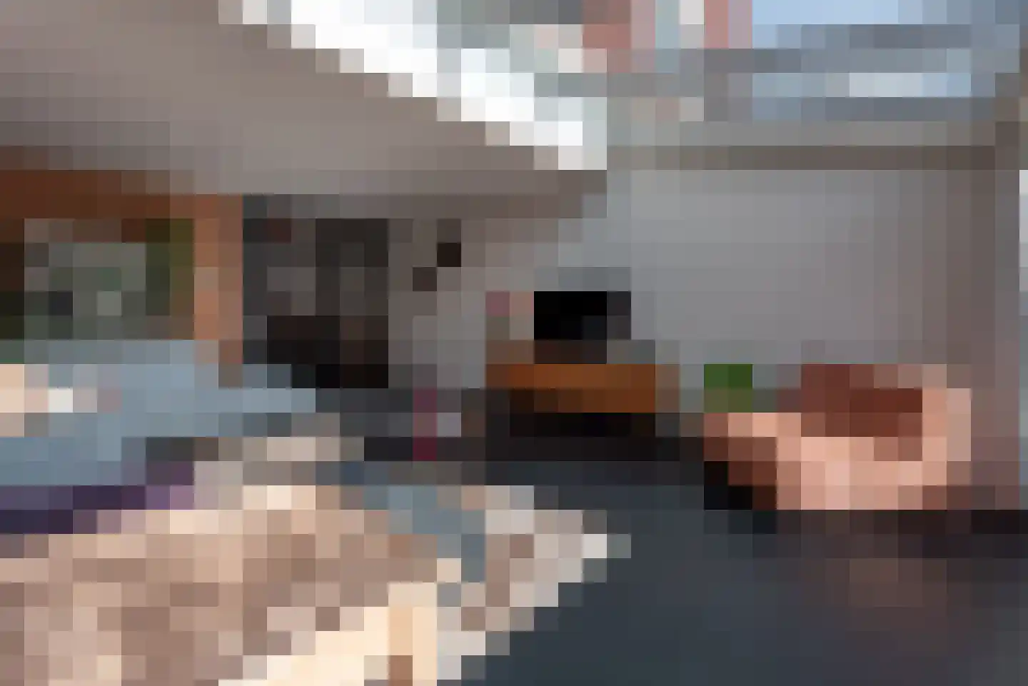 Spoorbrughof 36 Apeldoorn thumbnail 13