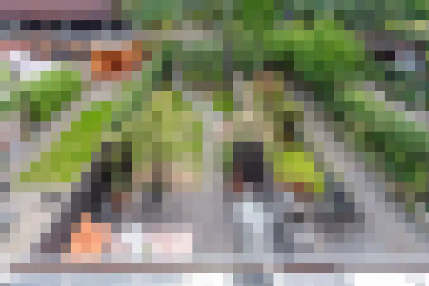 Spoorbrughof 36 Apeldoorn thumbnail 34