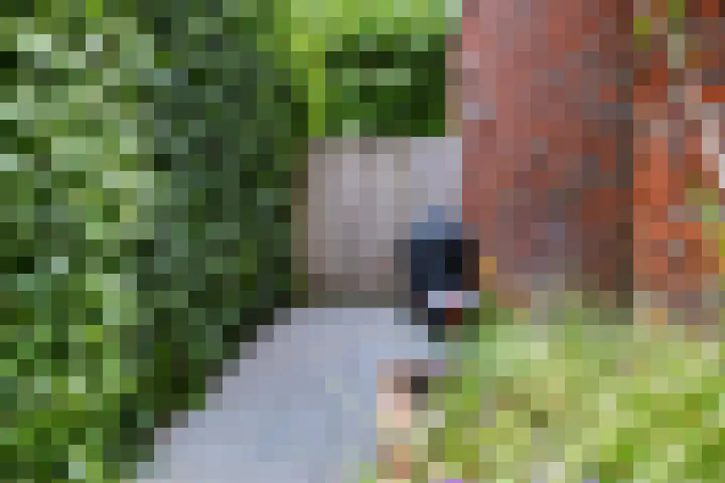 Spoorbrugweg 50 Apeldoorn thumbnail 36