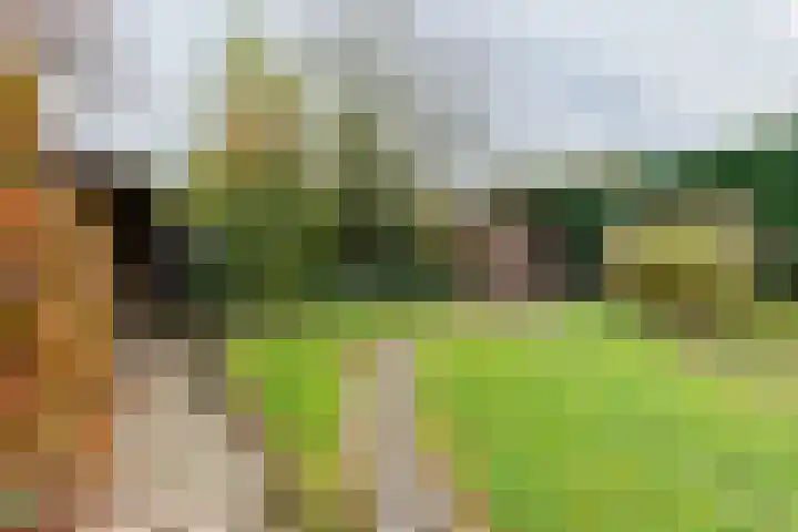 Spoordamstraat 11 Heerlen thumbnail 21