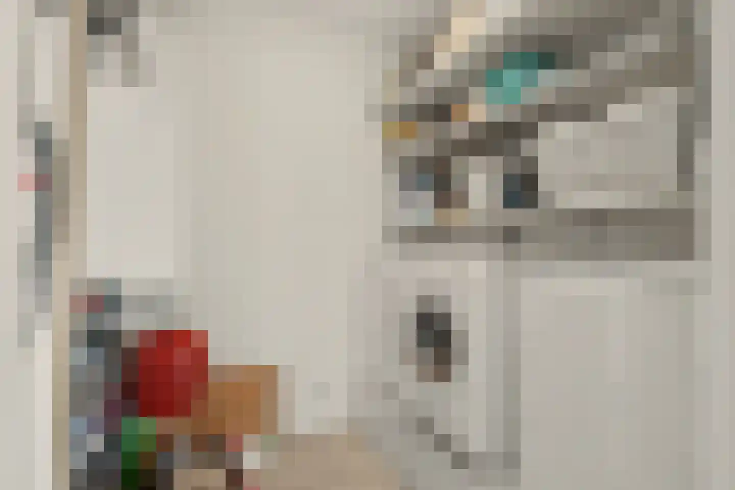 Spoordijk 16 Raamsdonksveer thumbnail 36