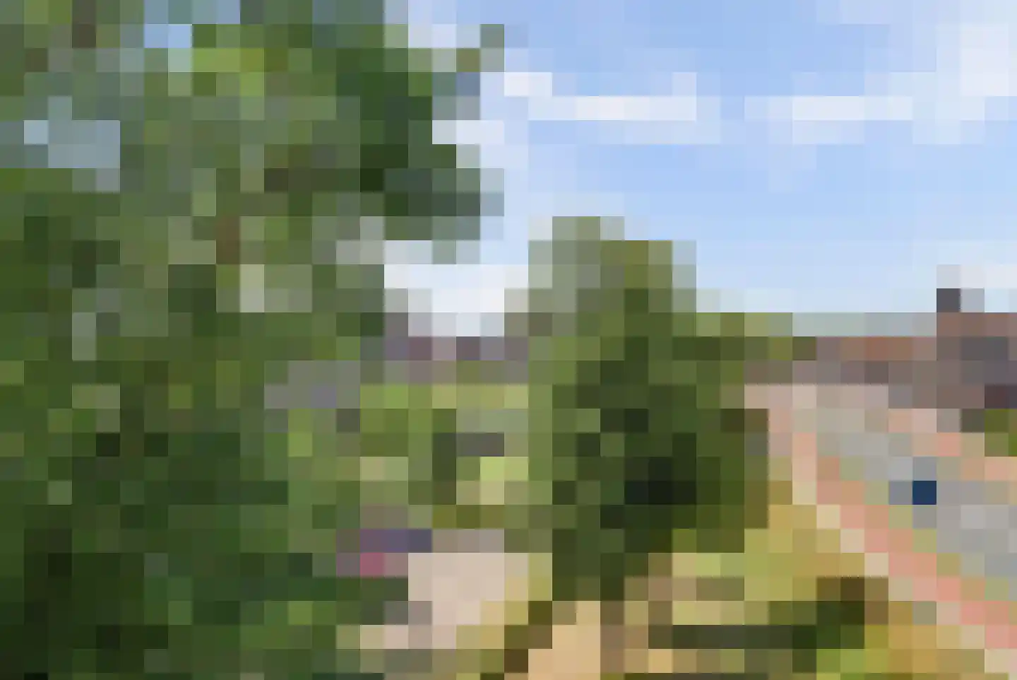 Spoordijk 16 Raamsdonksveer thumbnail 51