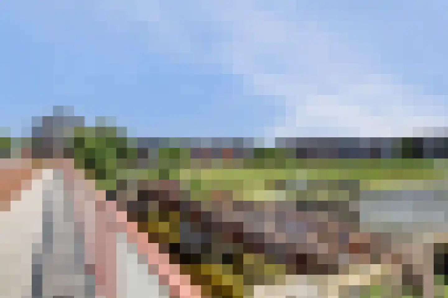 Spoordijk 16 Raamsdonksveer thumbnail 52