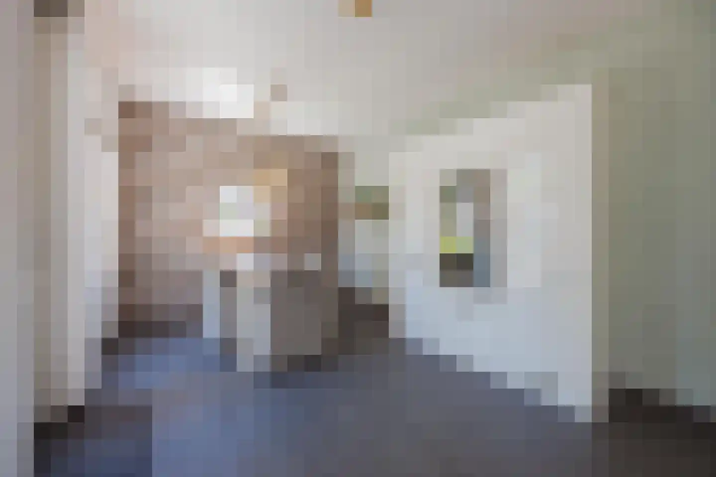 Spoordijk 21 Raamsdonksveer thumbnail 12