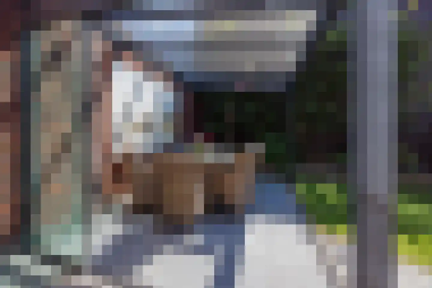 Spoordijk 21 Raamsdonksveer thumbnail 39