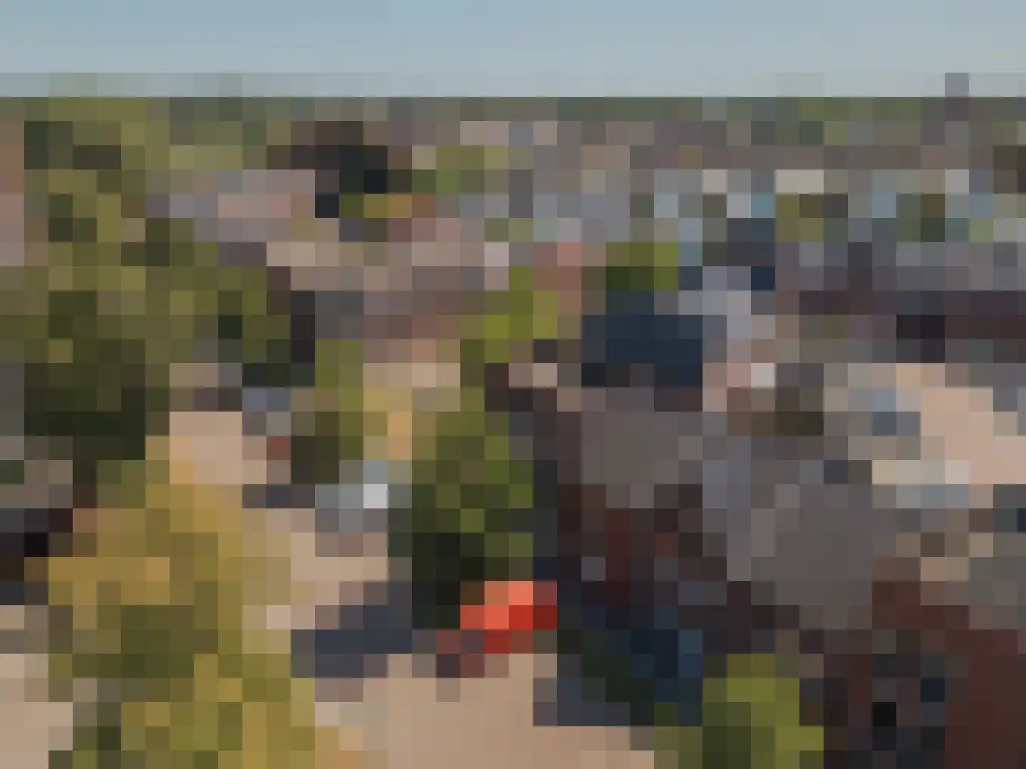 Spoordijk 21 Raamsdonksveer thumbnail 51