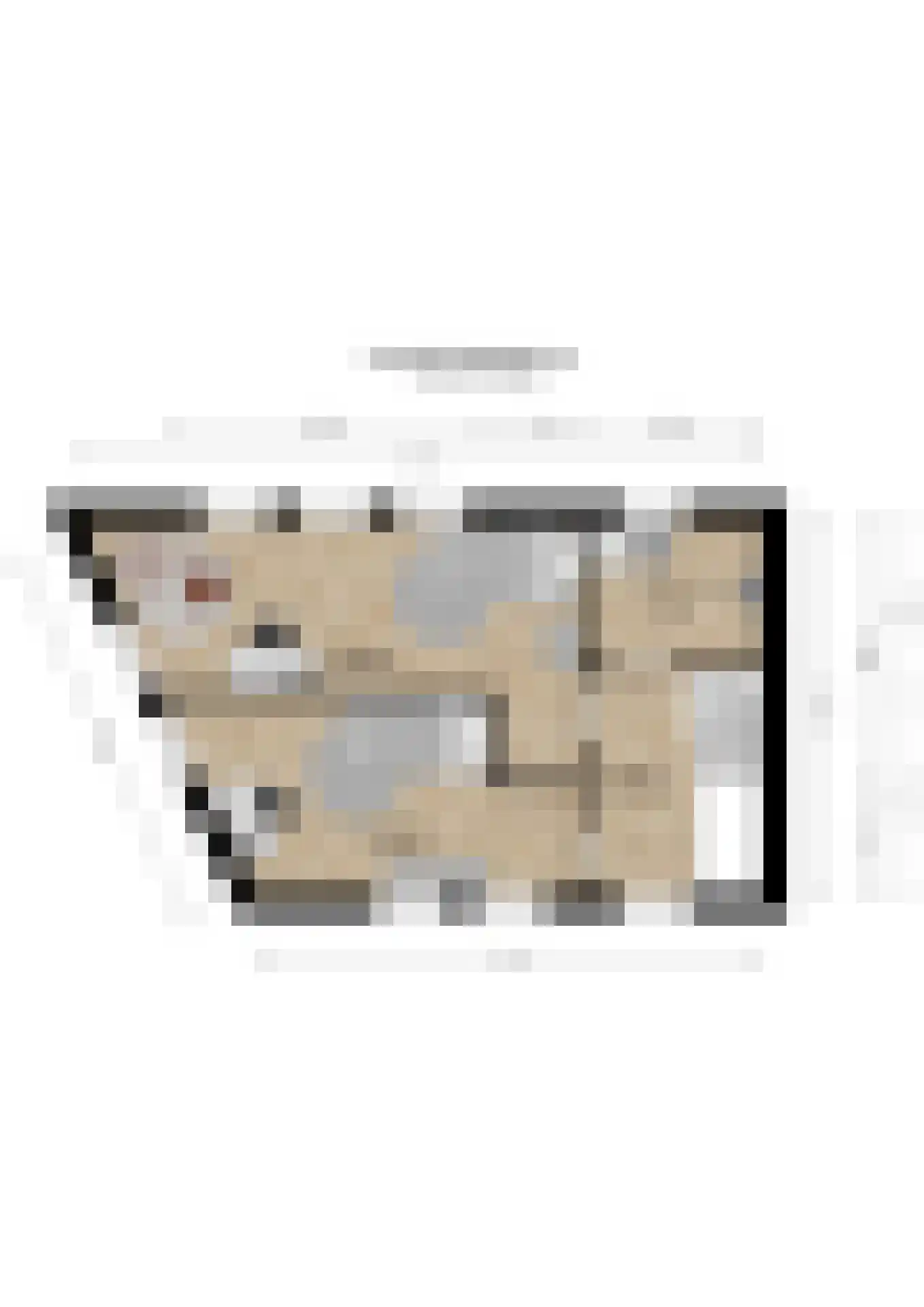 Spoordijk 21 Raamsdonksveer thumbnail 57