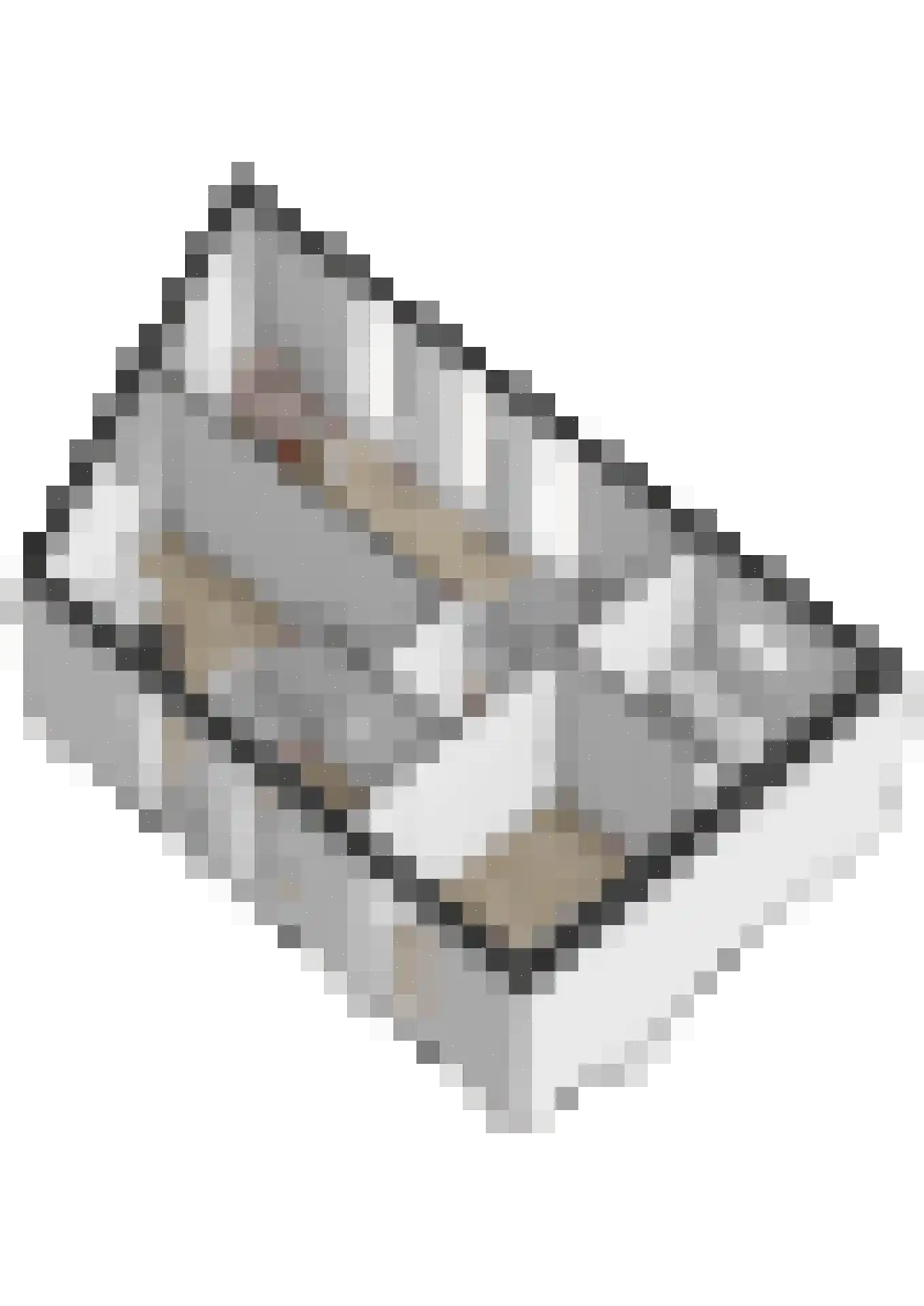 Spoordijk 21 Raamsdonksveer thumbnail 63