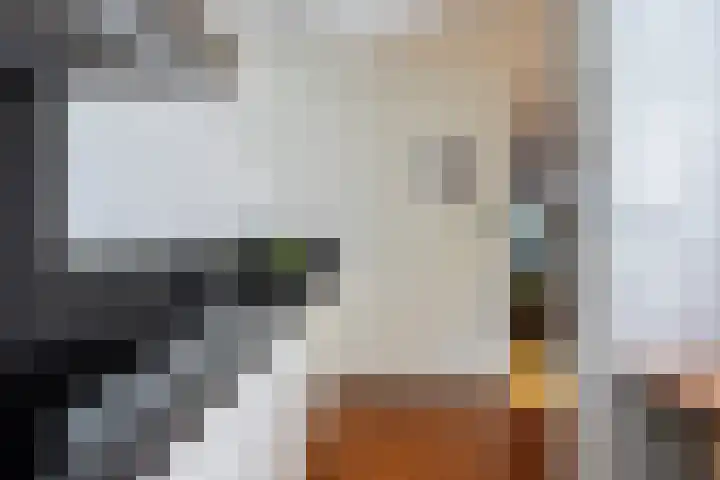 Spoordijk 38 Tilburg thumbnail 16