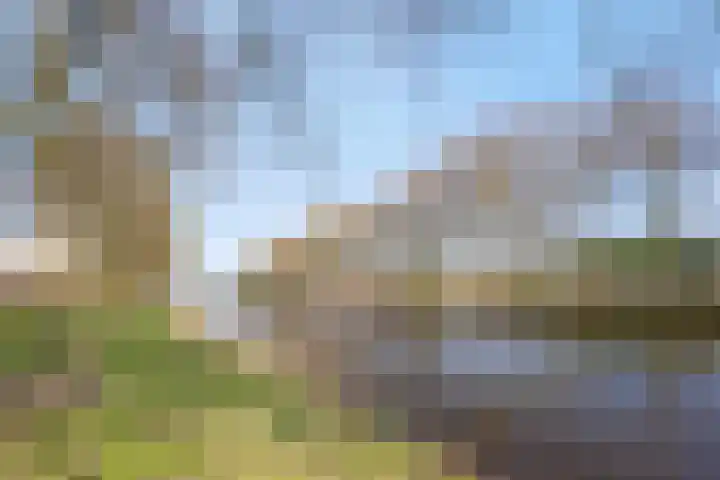 Spoordijk 38 Tilburg thumbnail 32