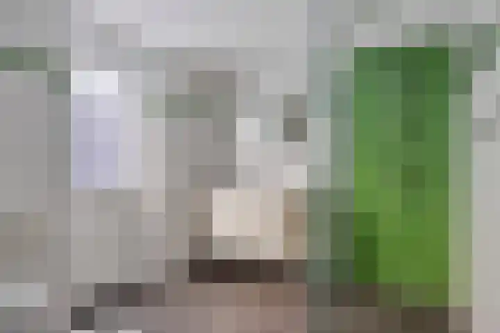 Spoordijk 38 Tilburg thumbnail 7