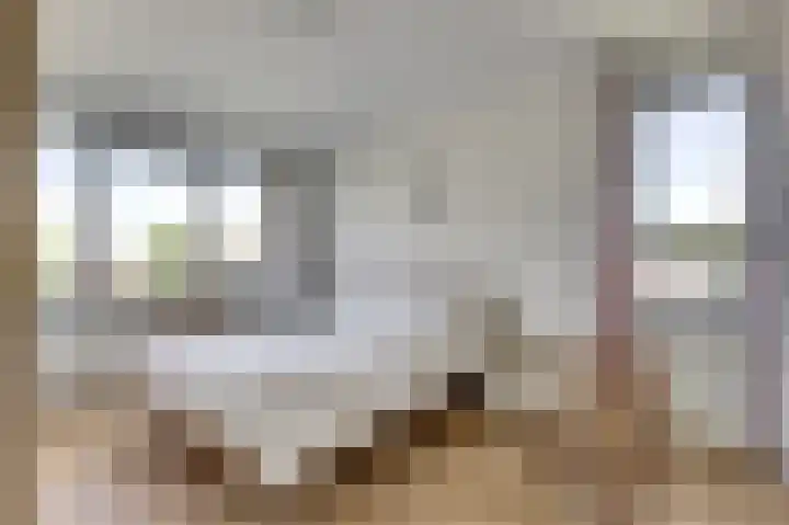 Spoordijk 6 Raamsdonksveer thumbnail 19