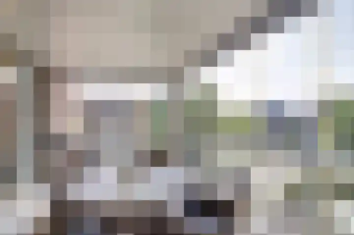 Spoordijk 6 Raamsdonksveer thumbnail 25