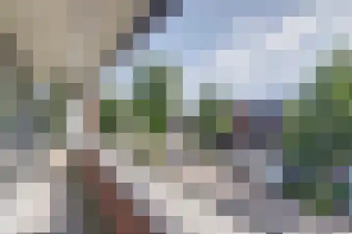 Spoordijk 6 Raamsdonksveer thumbnail 26