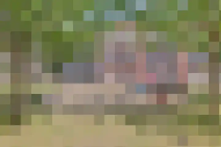 Spoordijk 6 Raamsdonksveer thumbnail 30