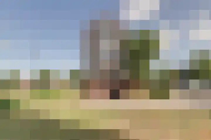 Spoordijk 6 Raamsdonksveer thumbnail 32