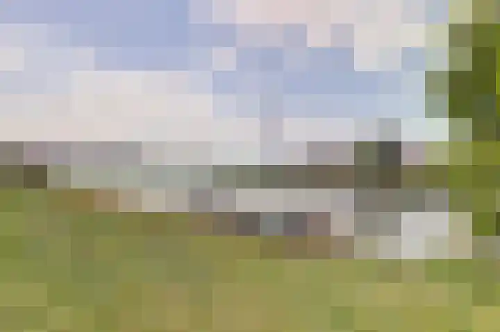 Spoordijk 6 Raamsdonksveer thumbnail 33