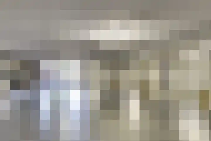 Spoordijk 6 Raamsdonksveer thumbnail 7