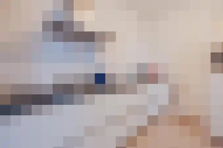 Spoordijk 9 Raamsdonksveer thumbnail 25