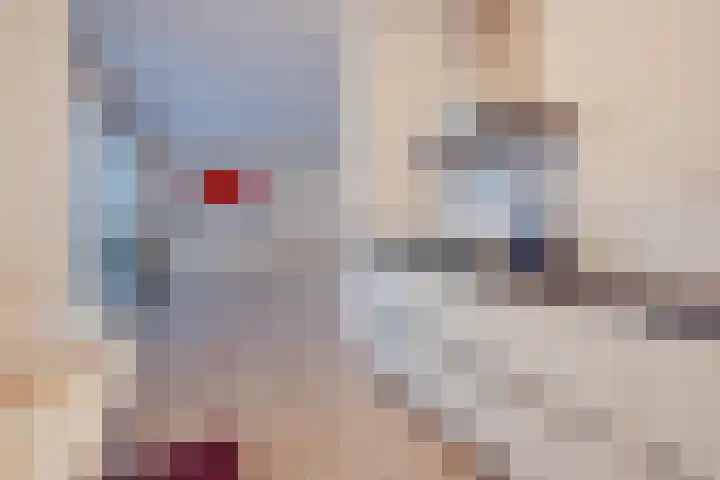 Spoordijk 9 Raamsdonksveer thumbnail 27