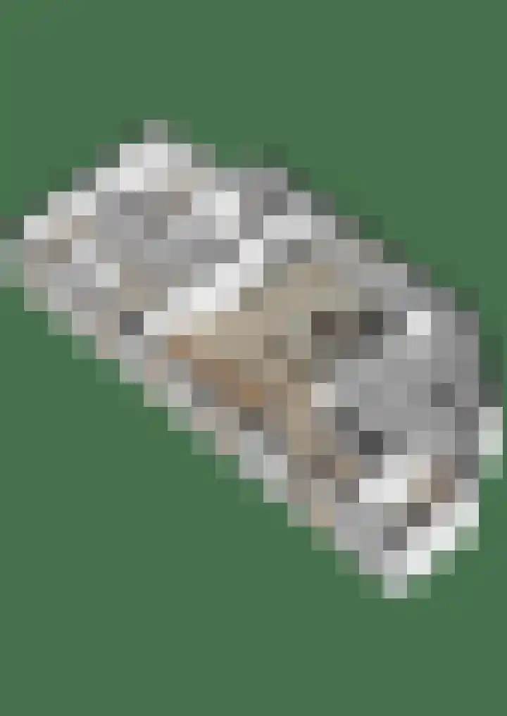 Spoordijk 9 Raamsdonksveer thumbnail 50