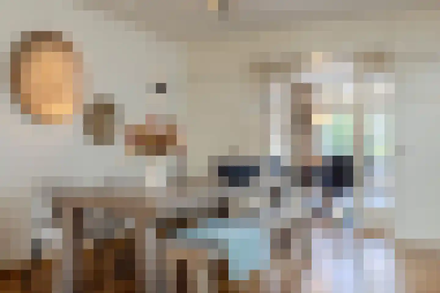 Spoordijkhof 3 Raamsdonk thumbnail 10