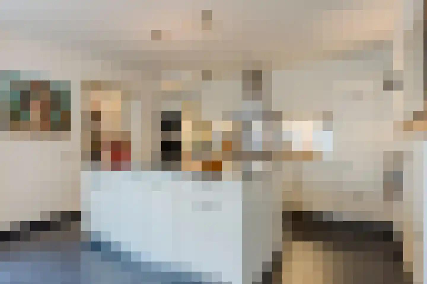 Spoordijkhof 3 Raamsdonk thumbnail 12