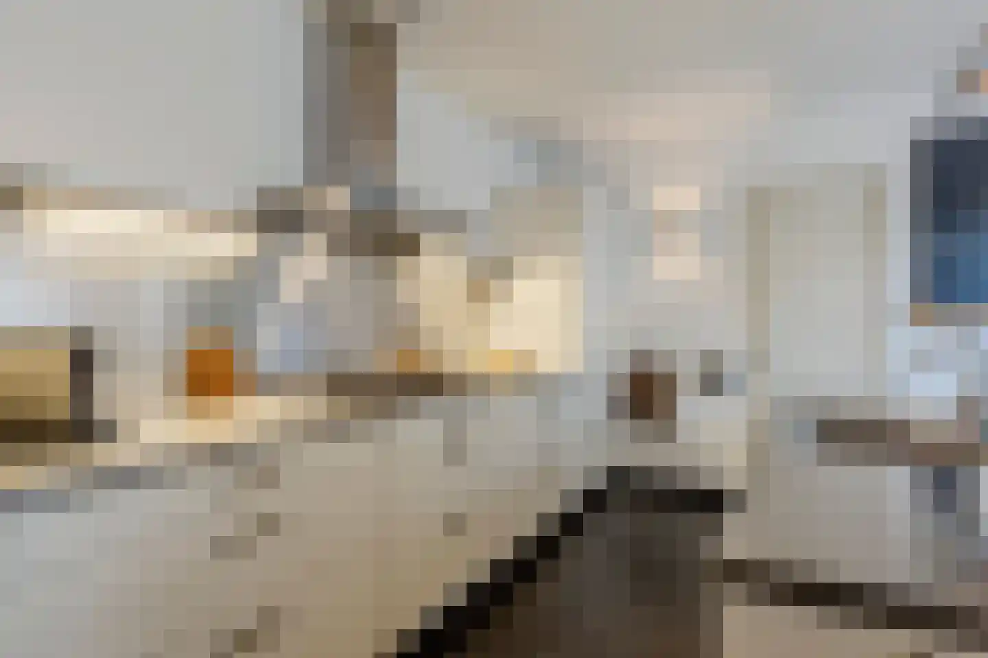 Spoordijkhof 3 Raamsdonk thumbnail 13