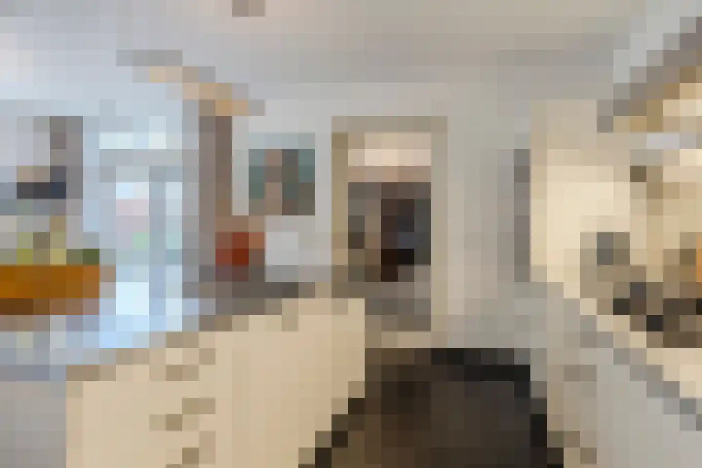 Spoordijkhof 3 Raamsdonk thumbnail 14
