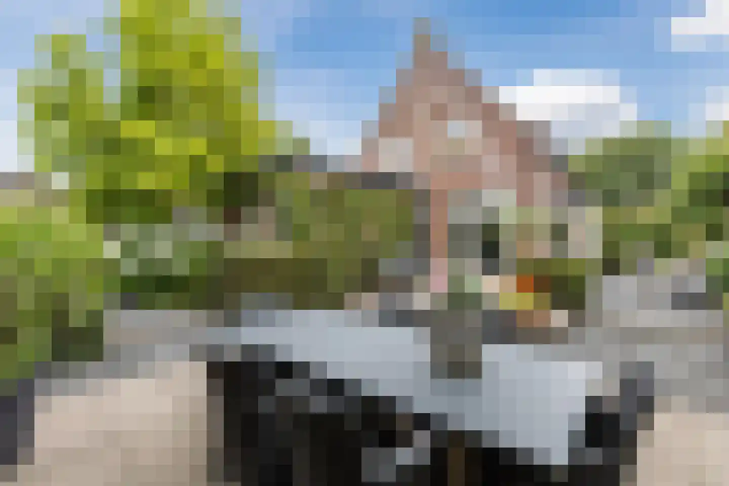 Spoordijkhof 3 Raamsdonk foto 2