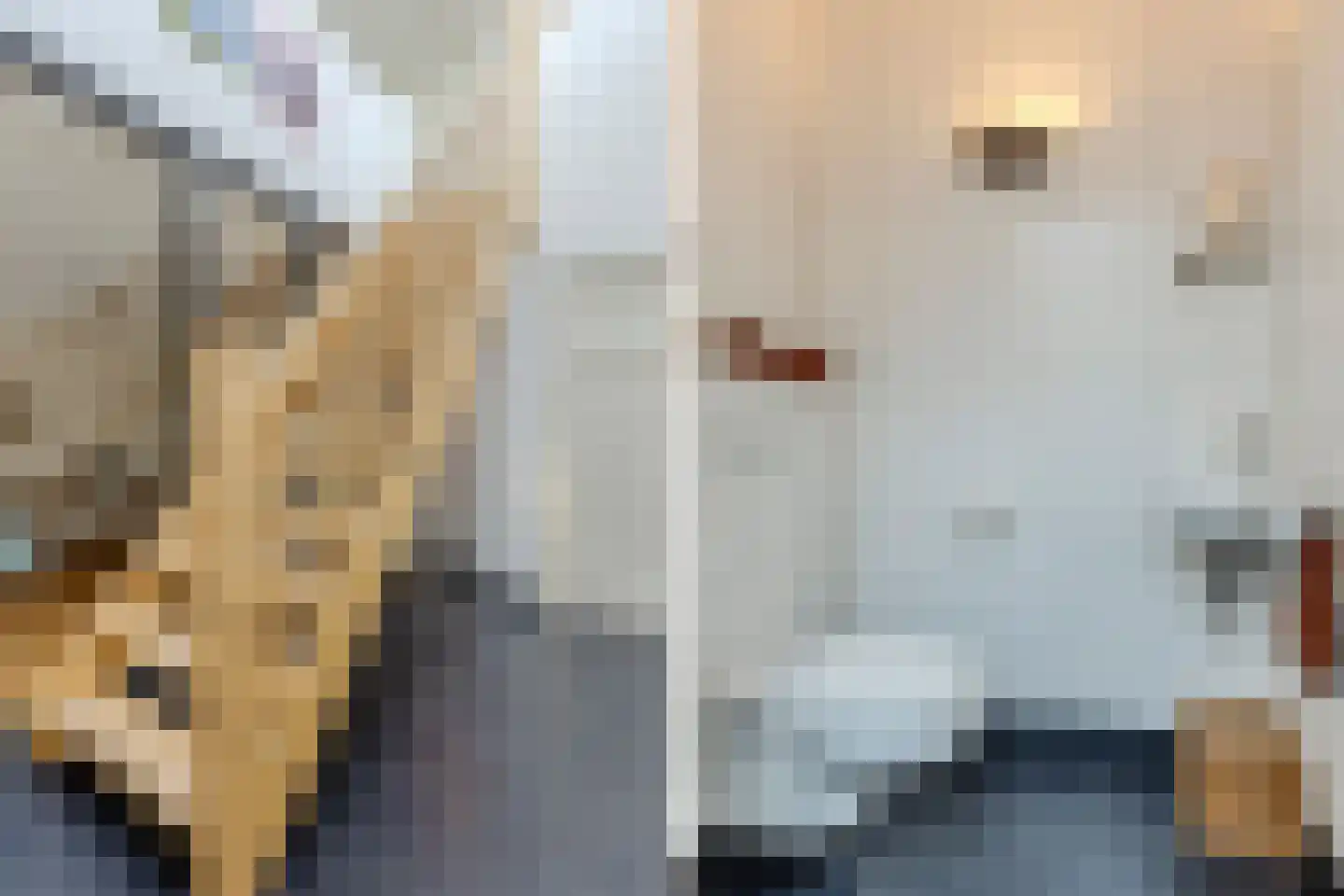 Spoordijkhof 3 Raamsdonk thumbnail 27