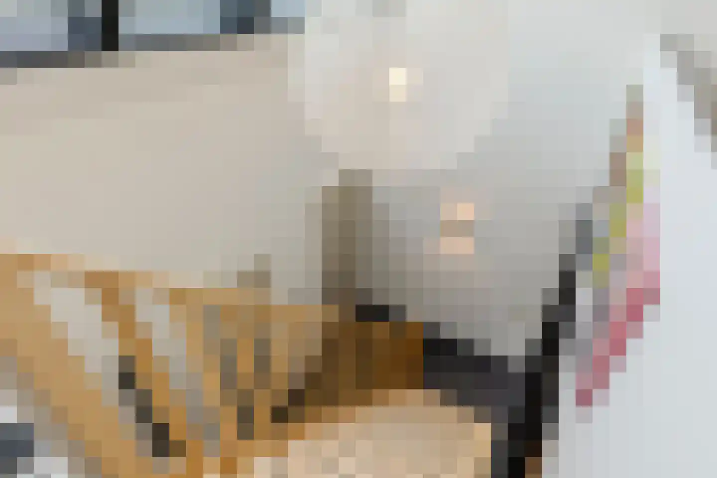 Spoordijkhof 3 Raamsdonk thumbnail 29