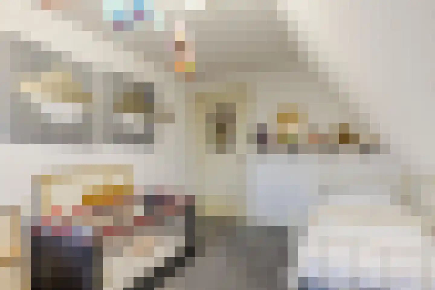 Spoordijkhof 3 Raamsdonk thumbnail 34