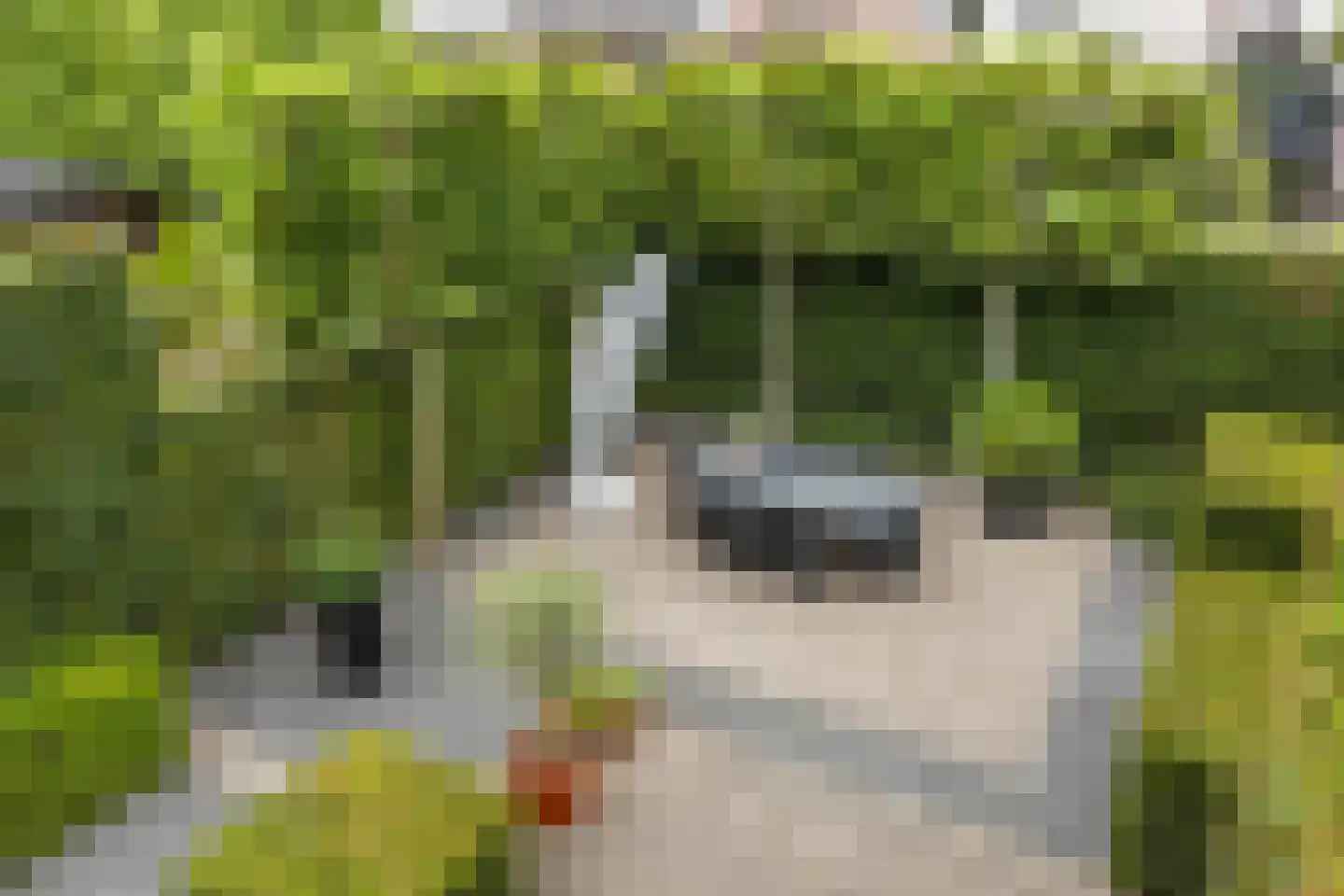 Spoordijkhof 3 Raamsdonk thumbnail 46
