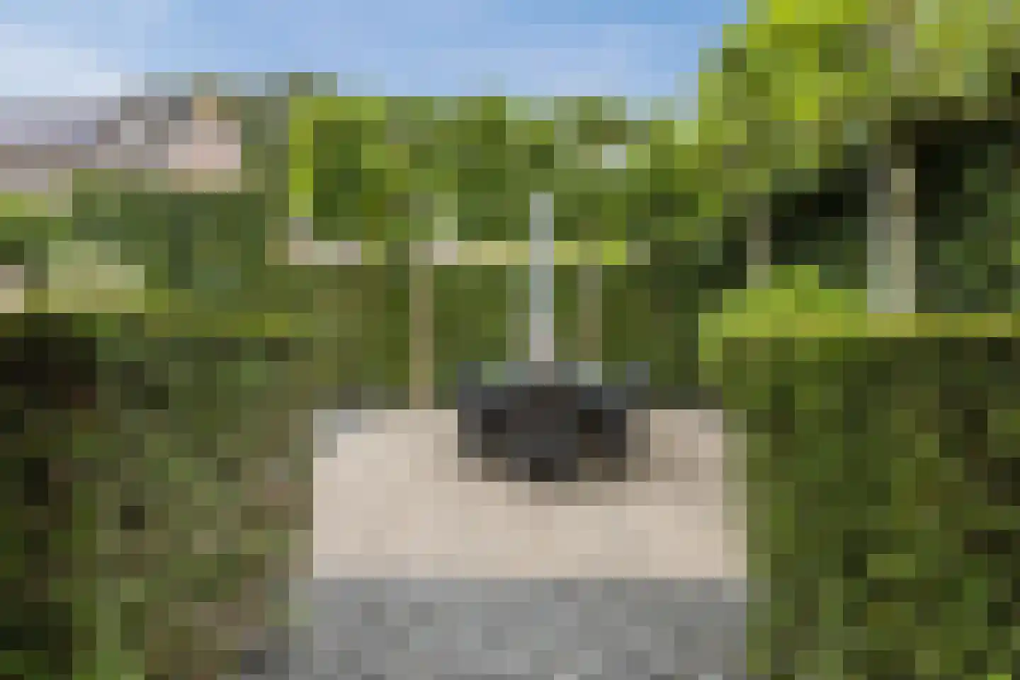Spoordijkhof 3 Raamsdonk thumbnail 47