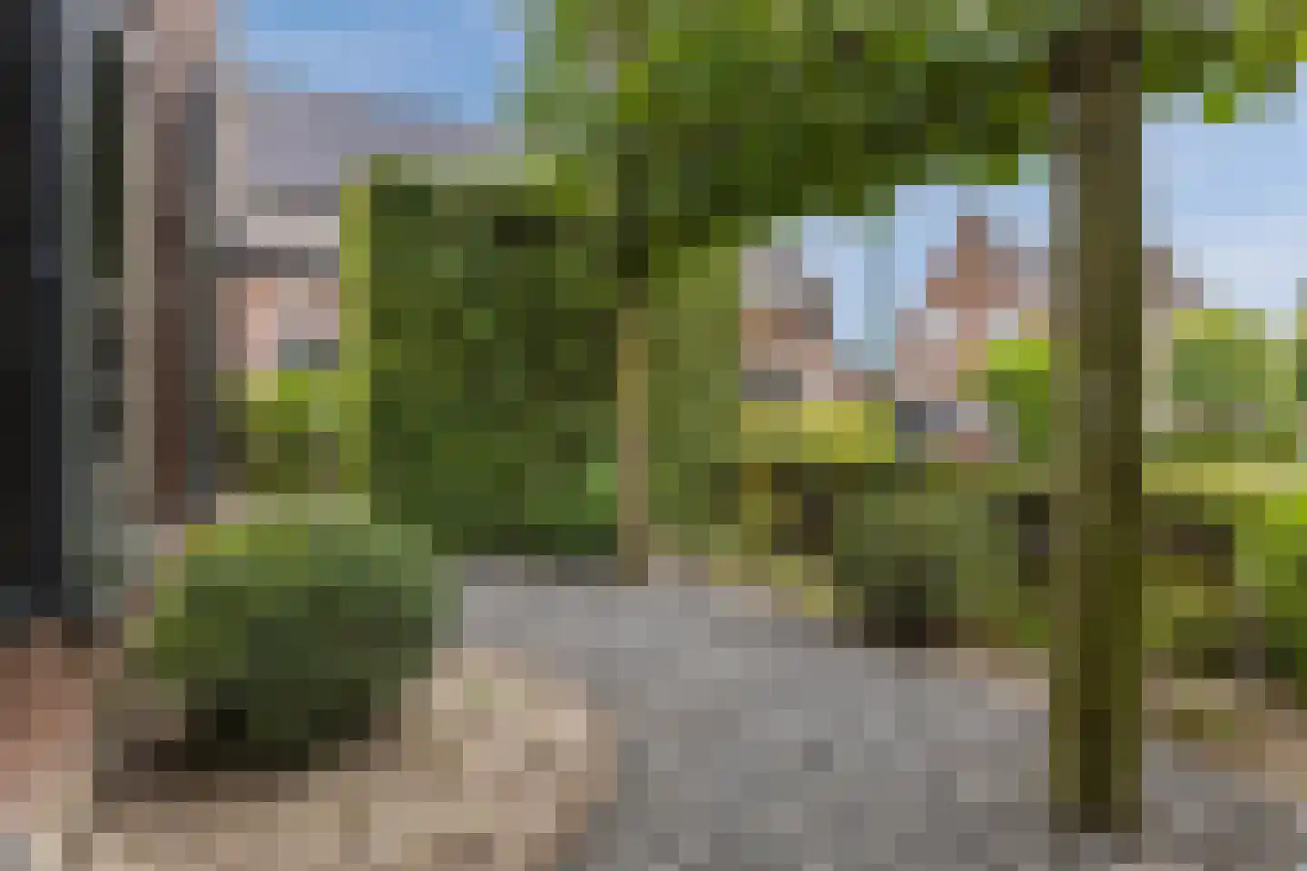 Spoordijkhof 3 Raamsdonk thumbnail 48