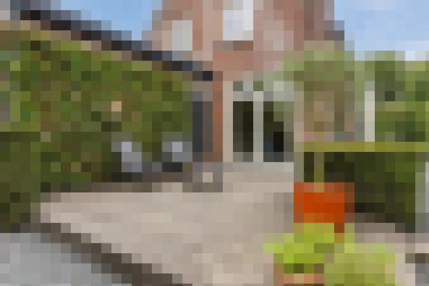 Spoordijkhof 3 Raamsdonk thumbnail 52