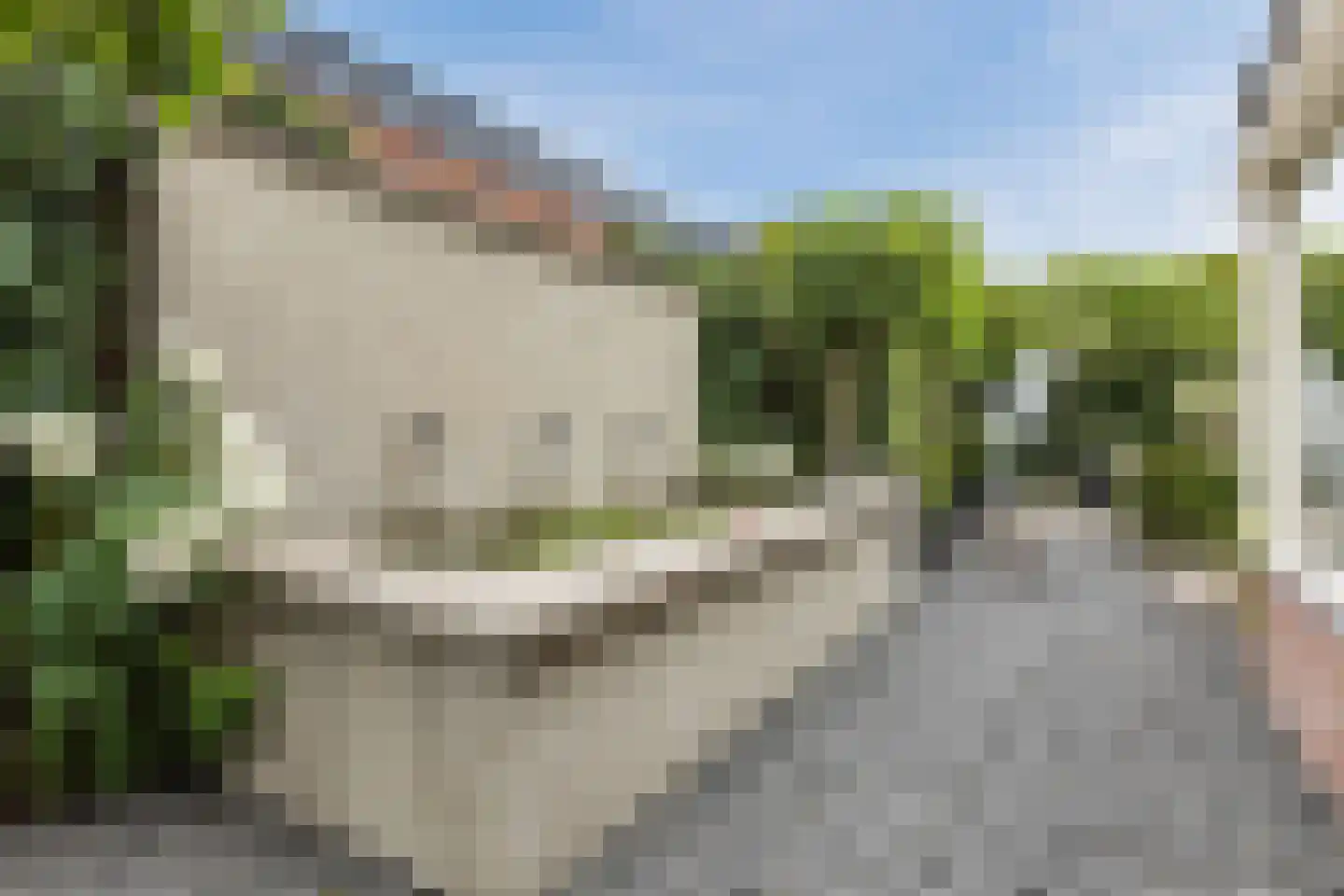 Spoordijkhof 3 Raamsdonk thumbnail 53
