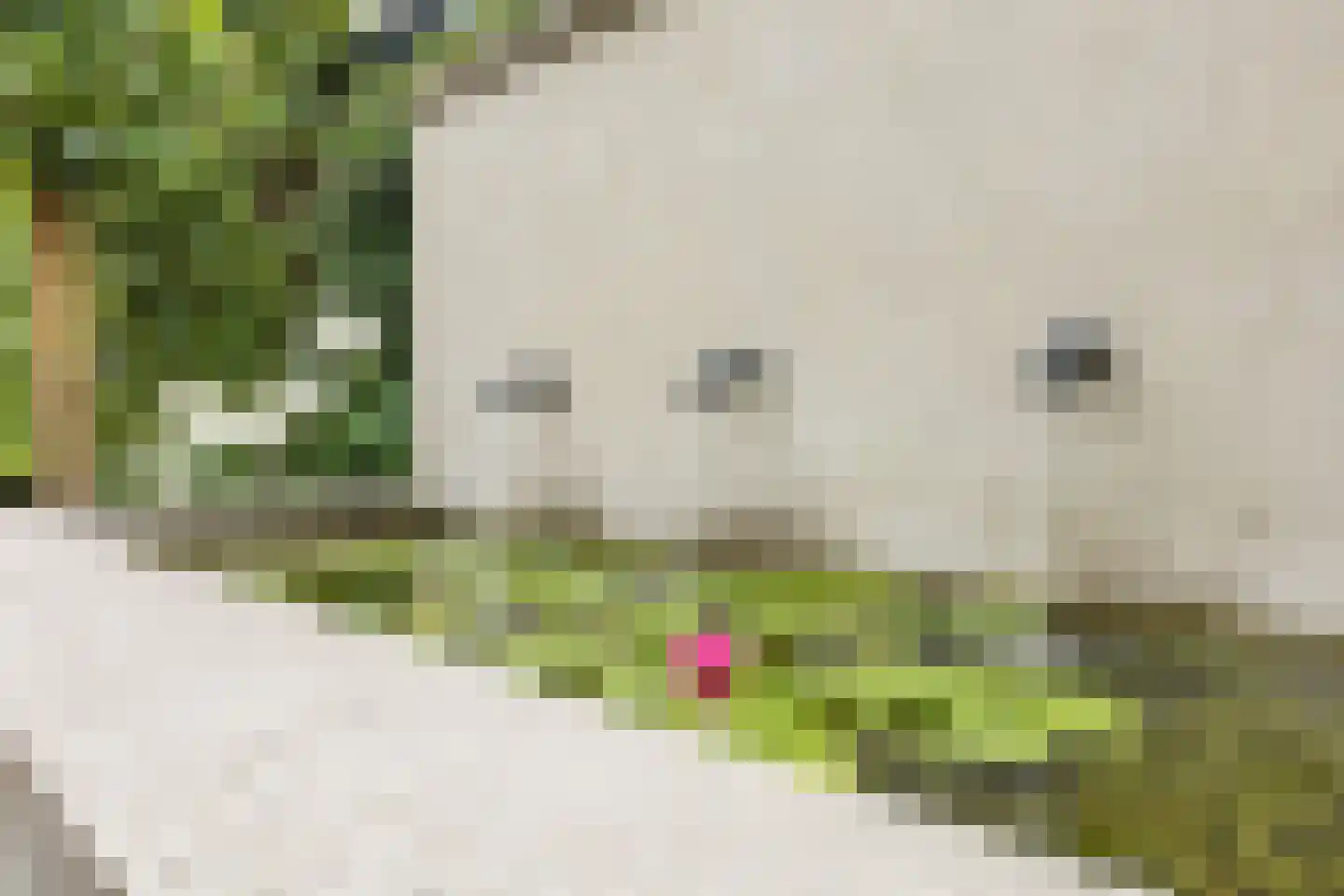Spoordijkhof 3 Raamsdonk thumbnail 54