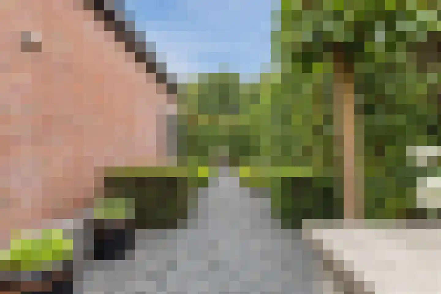 Spoordijkhof 3 Raamsdonk thumbnail 55