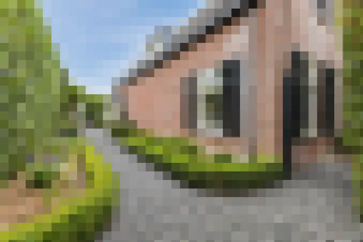 Spoordijkhof 3 Raamsdonk thumbnail 57