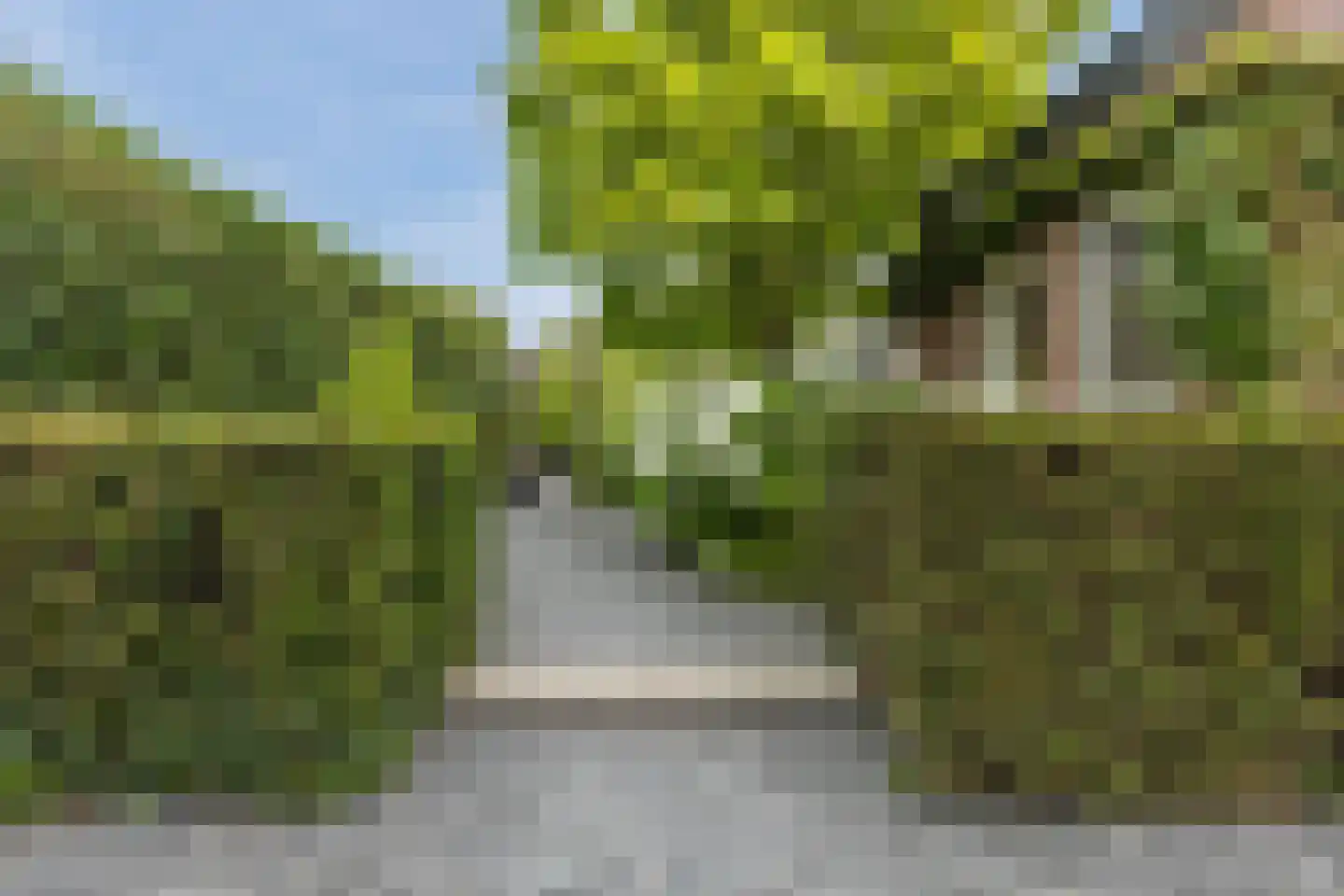 Spoordijkhof 3 Raamsdonk thumbnail 58