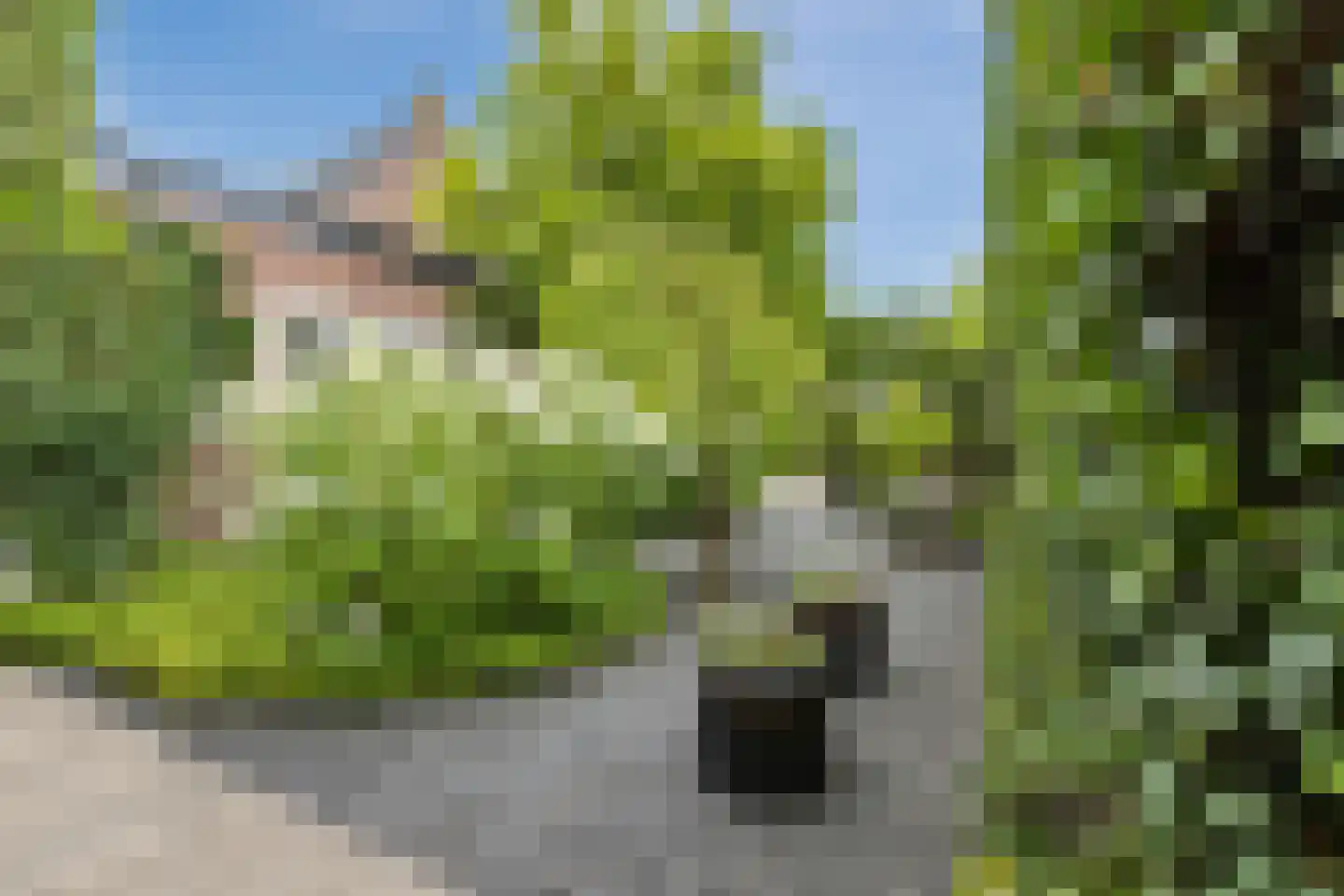 Spoordijkhof 3 Raamsdonk thumbnail 60