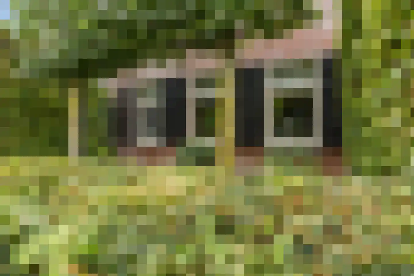 Spoordijkhof 3 Raamsdonk thumbnail 65