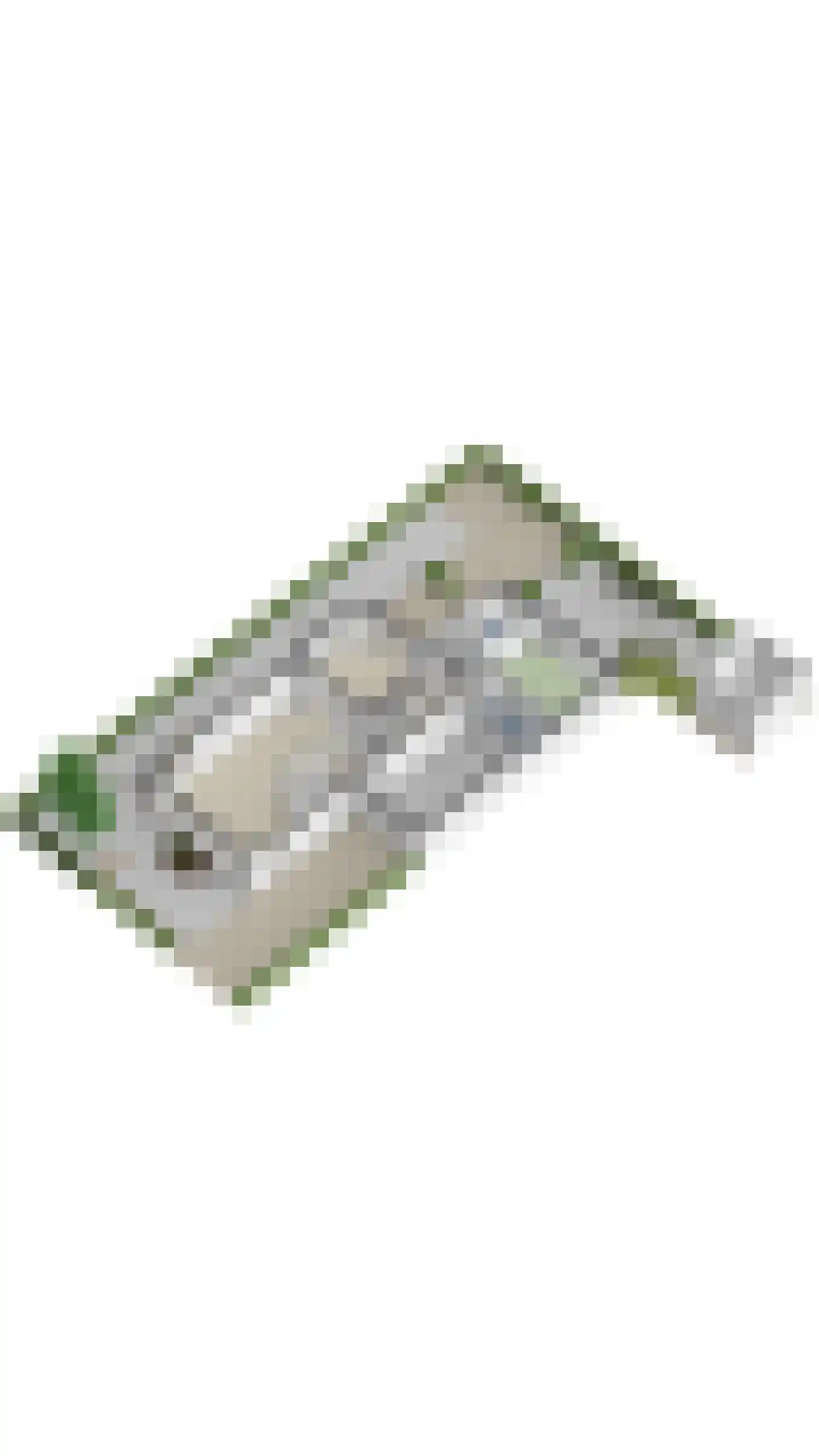 Spoordijkhof 3 Raamsdonk thumbnail 74