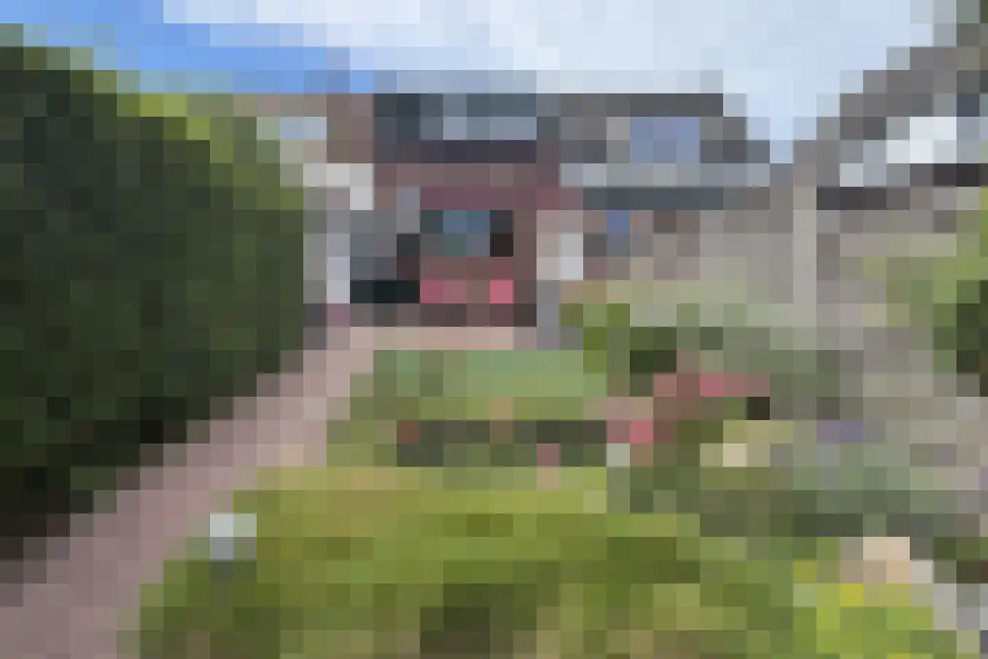 Spoordijkstraat 10 Zutphen thumbnail 30