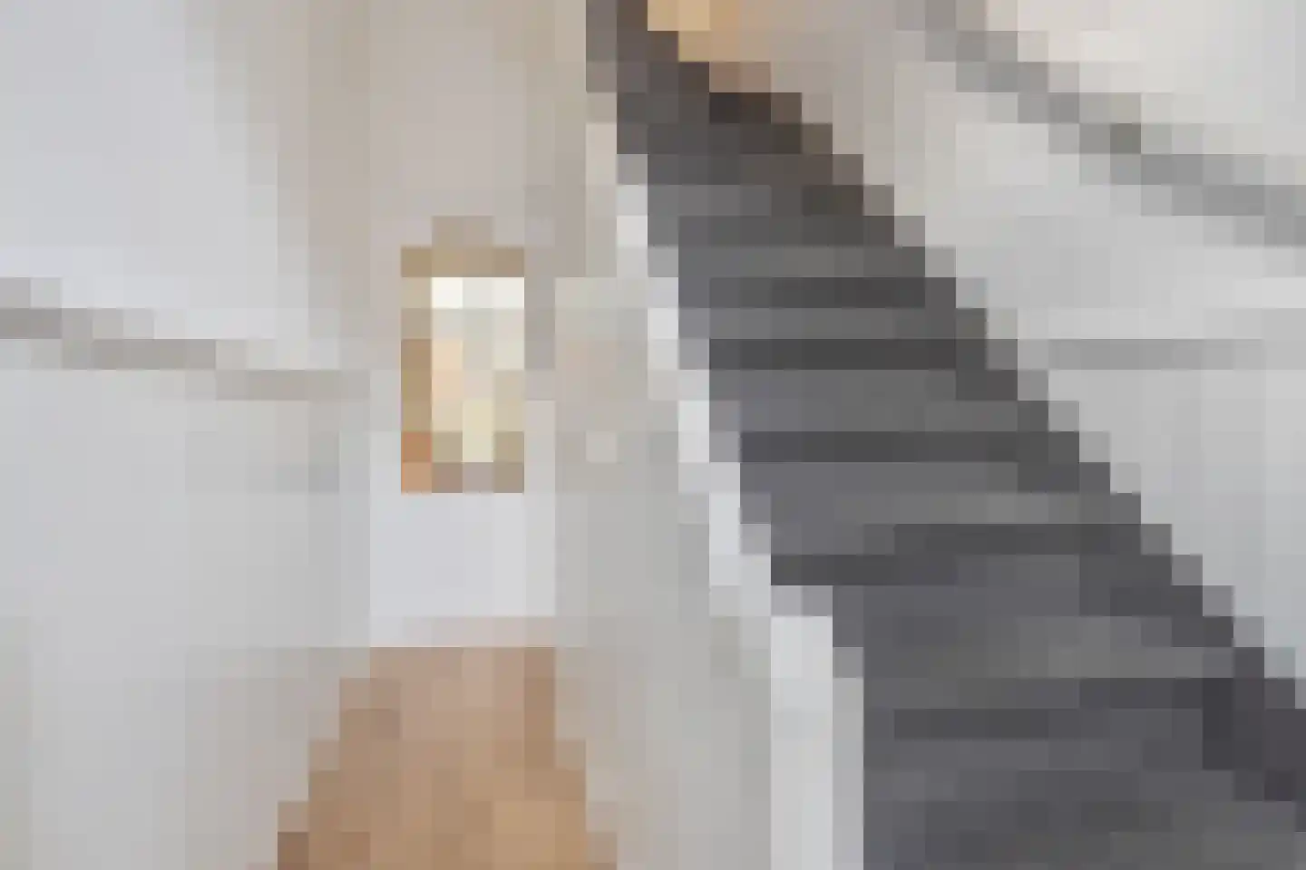 Spoordijkstraat 10 Zutphen thumbnail 7