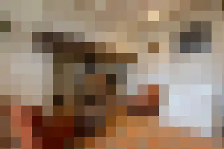 Spoordonkseweg 133 Oirschot thumbnail 13